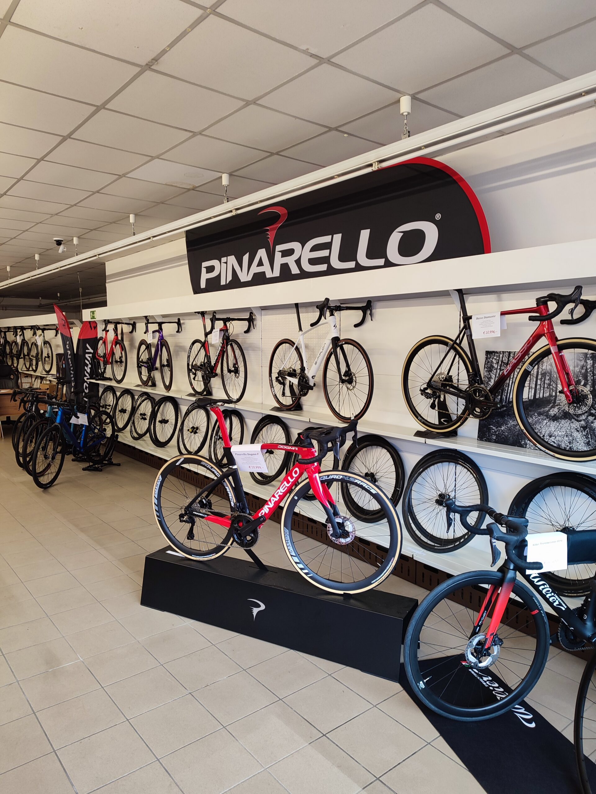Top Auswahl an Rennrädern und Gravel-Bikes