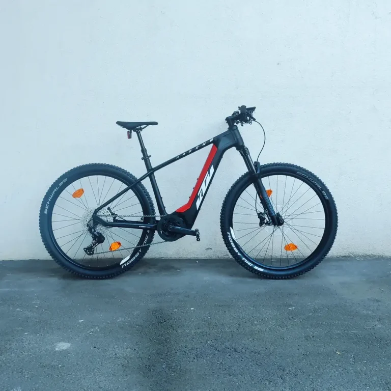 KTM Macina eMountain 29 Pro LTD (2024)
